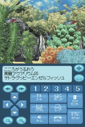 Kokoro ga Uruou - Birei Aquarium DS - Tetra, Guppy, Angelfish (Japan) screen shot game playing